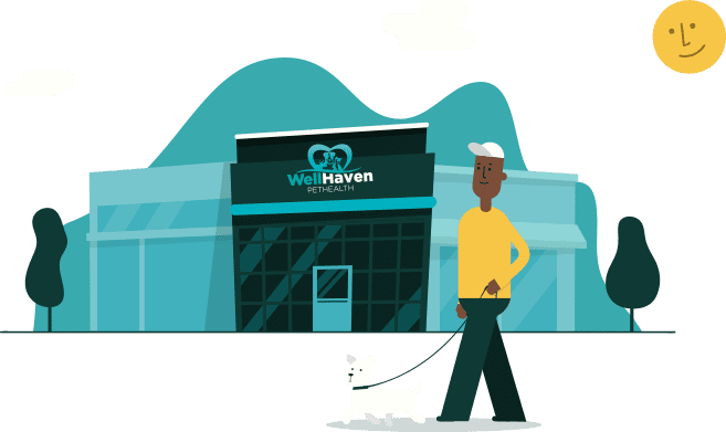 A graphic of a man walking a dog in front of WellHaven Pet Health in Maple Grove, MN.