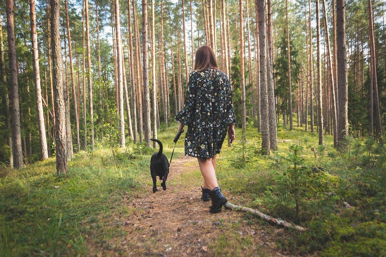An image of a woman walking a dog in the woods.